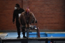 Campeonato Nacional Curso Corto 2021_17